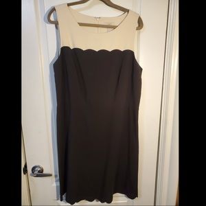 Ann Taylor loft dress, with scalloped edging